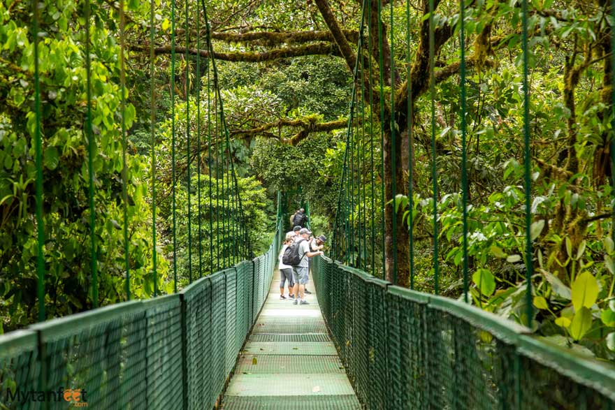 Monteverde悬桥