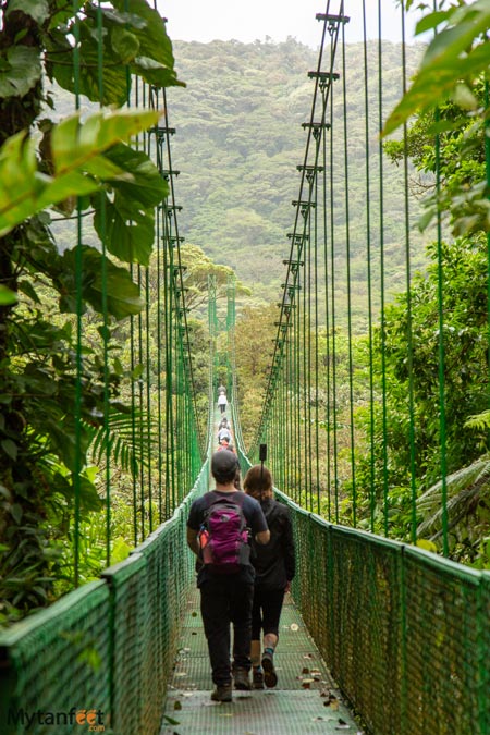 Selvatura park suspension bridges
