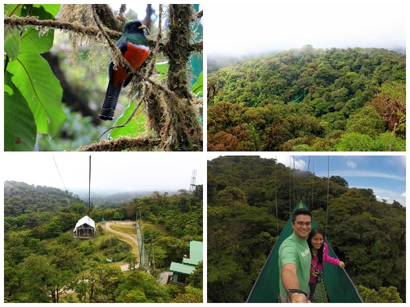 One week Costa Rica itinerary - Monteverde Cloud Forest
