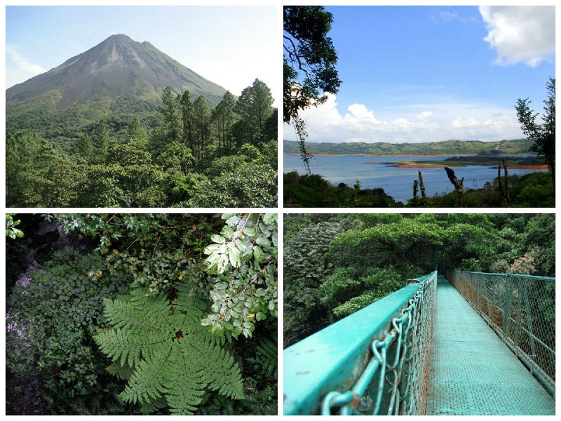 best day trips from playas del coco monteverde and arenal