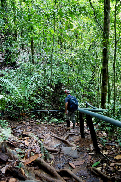 San Pedrillo and Sirena Station in Corcovado National Park - waterfall San Pedrillo trail