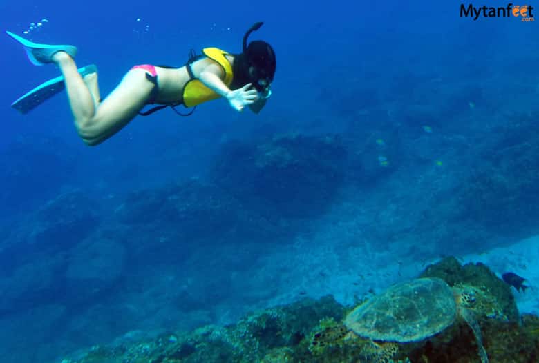 things to do in uvita and dominical - cano island snorkeling