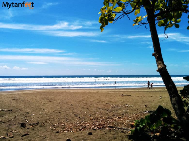 things to do in uvita and dominical - playa linda