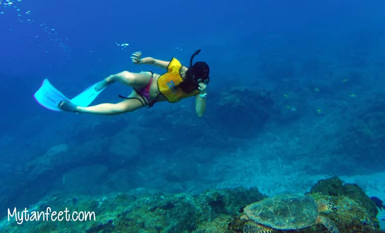 snorkeling at cano island - activity near drake bay
