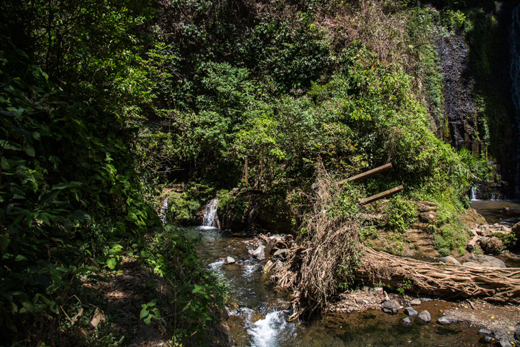 The trail to the second Los Chorros waterfalls