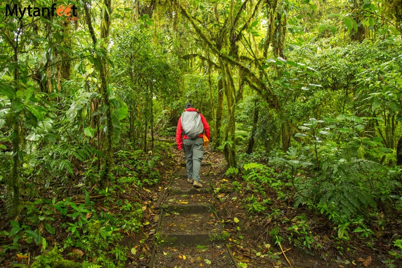 packing for rainy season in costa rica - cloud forests