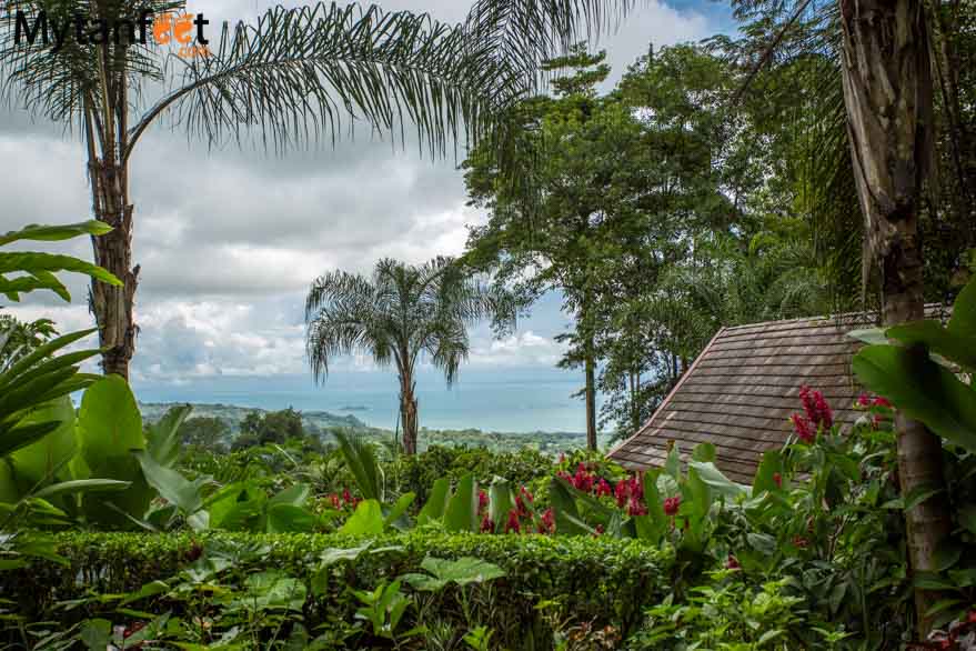 Oxygen Jungle Villas - ocean view