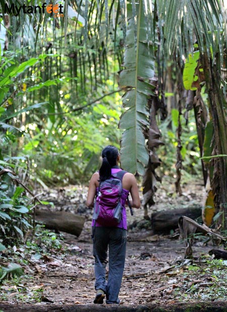 cheap things to do in Costa Rica - hike on your own