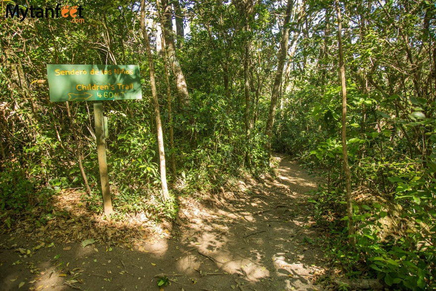 Children's Eternal Rainforest - Bajos del Tigre hiking trail sendero de los ninos