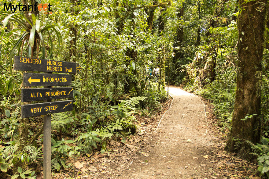 Hiking Monteverde Cloud Forest Reserve - sendero nubloso start