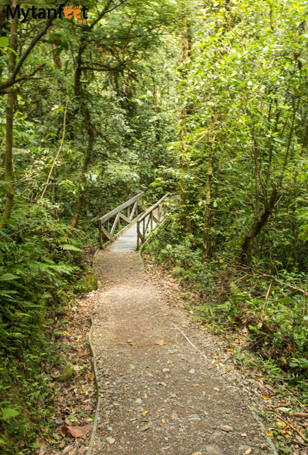 Hiking Monteverde Cloud Forest Reserve - sendero nubloso