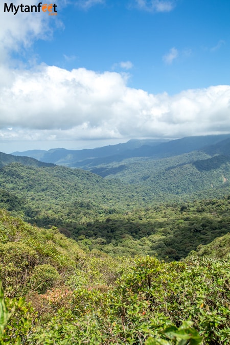 The Monteverde Cloud Forest Reserves - Children's Eternal Rain Forest, Monteverde and Santa Elena Cloud Forest Reserve