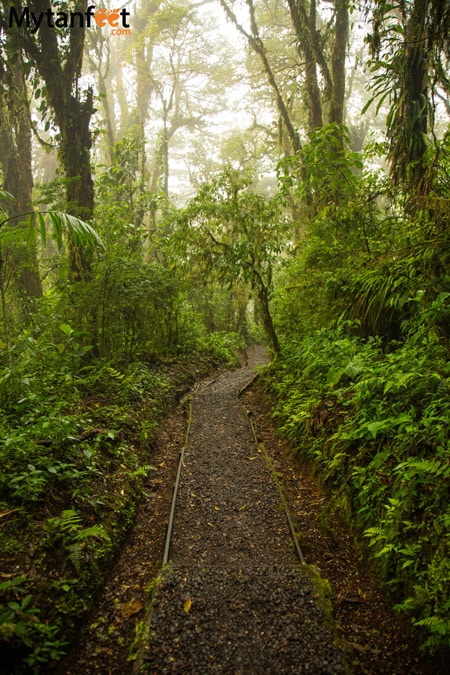 The Santa Elena Cloud Forest Reserves - Children's Eternal Rain Forest, Monteverde and Santa Elena Cloud Forest Reserve