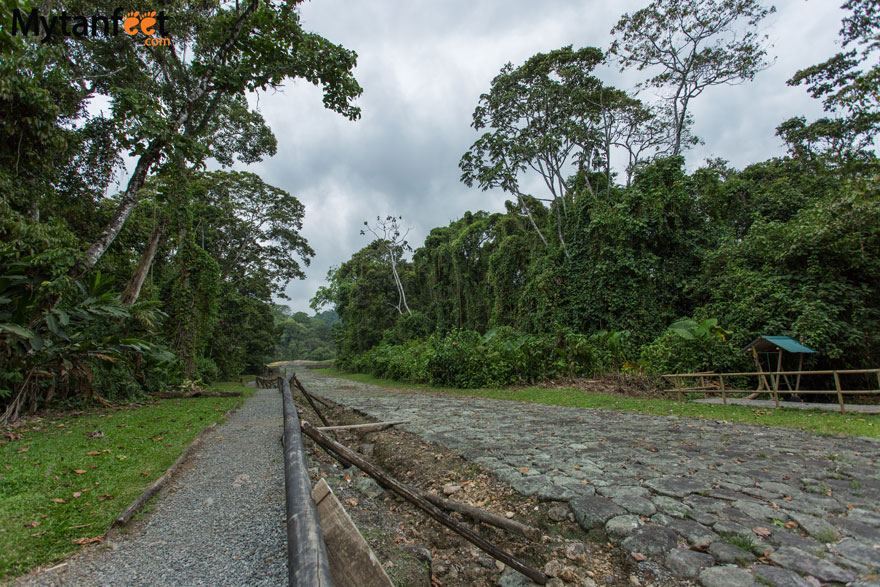 guayabo national monument path