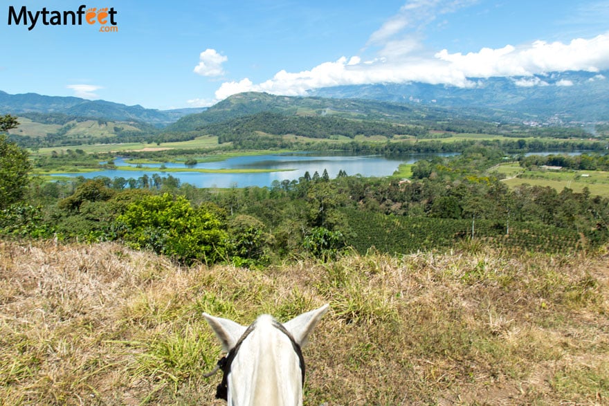 things to do in turrialba - horseback riding