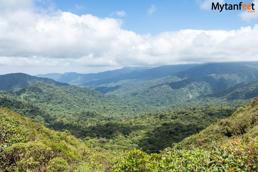 monteverde or arenal - monteverde cloud forest