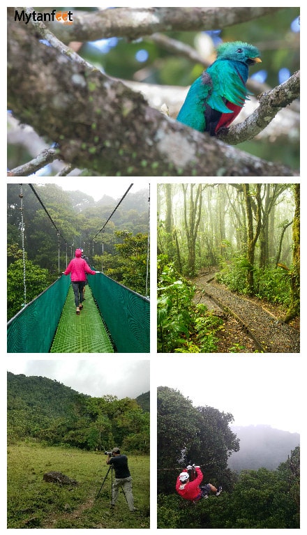 monteverde or arenal - things to do in Monteverde