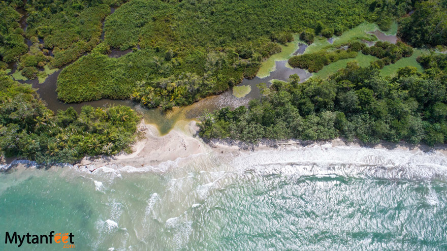 Aerial photo of Kelly Creek River in Cahuita National Park