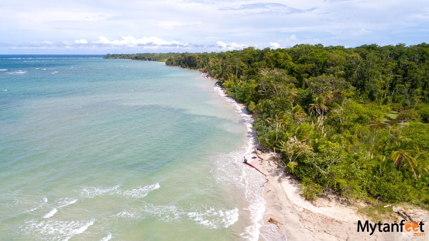 Aerial Photo beach at Cahuita NP