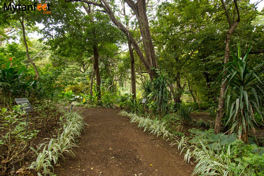 Diamante Eco Adventure Park - botanical garden