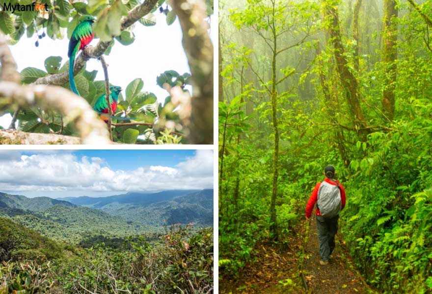 1 month Costa Rica road trip itinerary - monteverde cloud forests