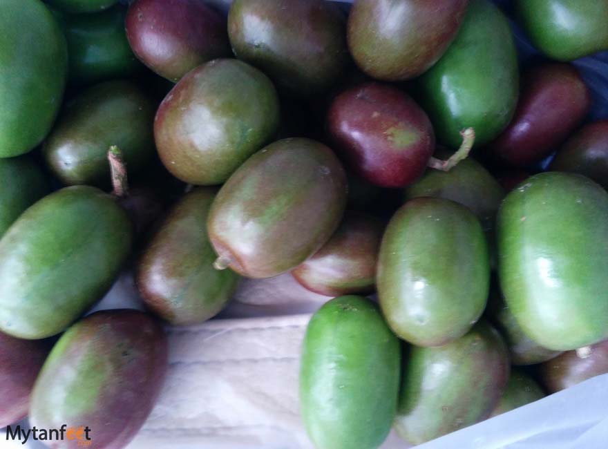 Costa Rica fruit jocotes