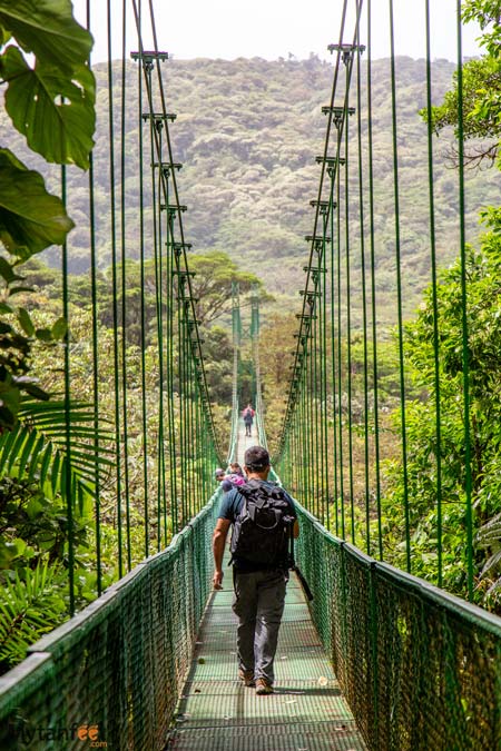 Hanging bridges in Selvatura Park, Monteverde, Costa Rica