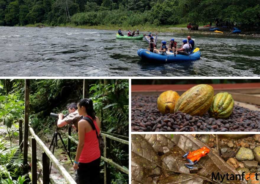 Things to do in Sarapiqui, Costa Rica