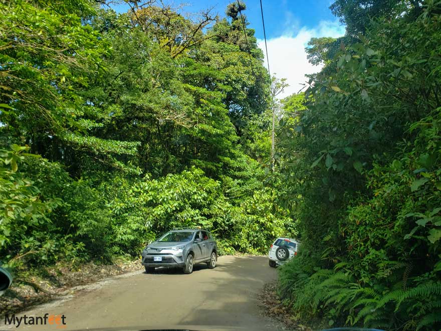 Monteverde roads