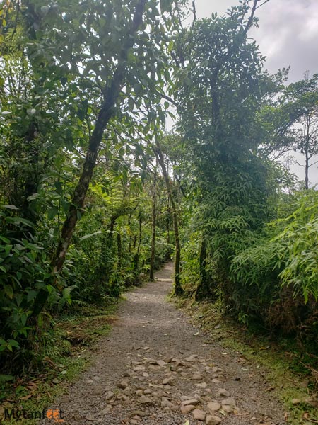Rio-Celeste trail