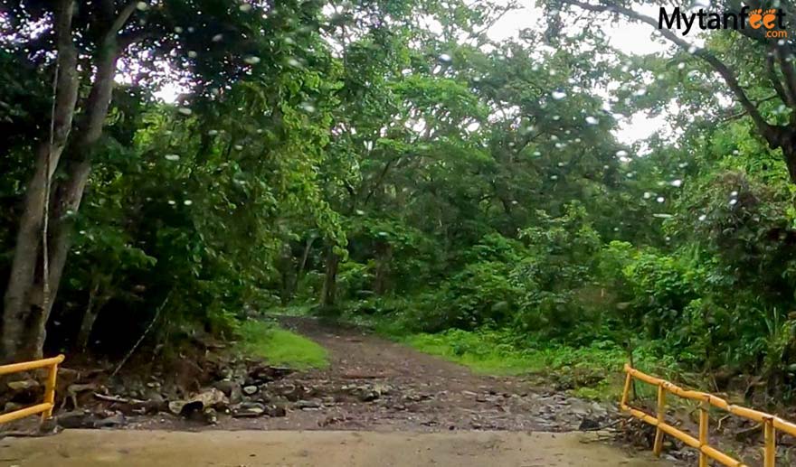 Iguanita wildlife Refuge road