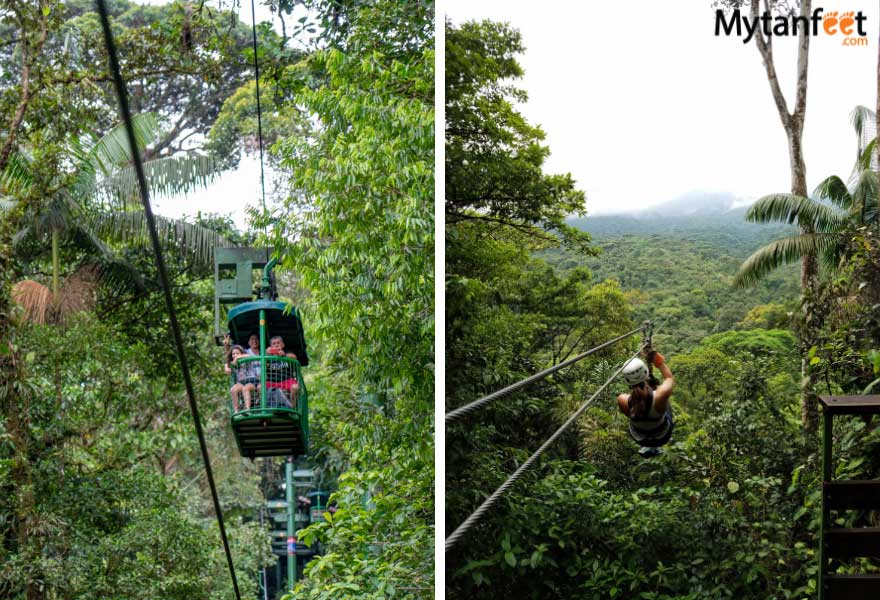 Rainforest Adventures aerial tram and ziplining