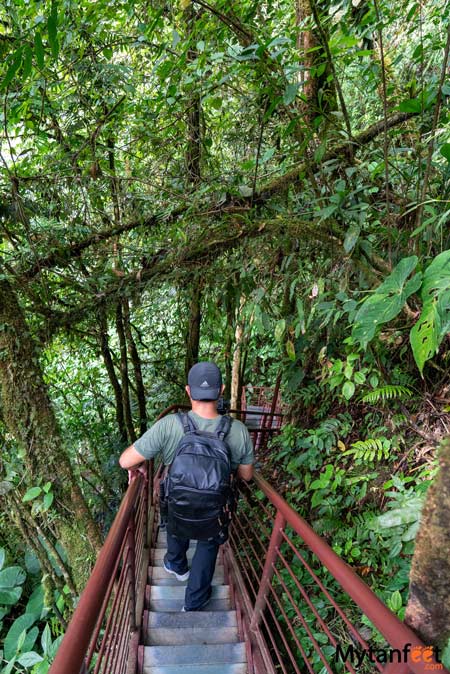 costa rica rainforest walk