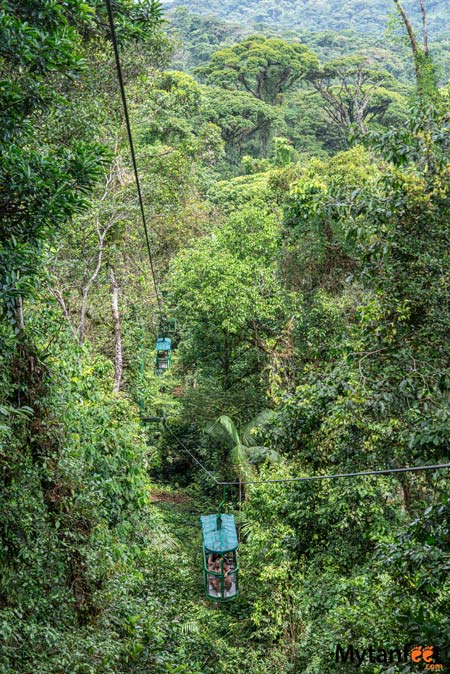 rainforest tour from san jose, costa rica aerial tram